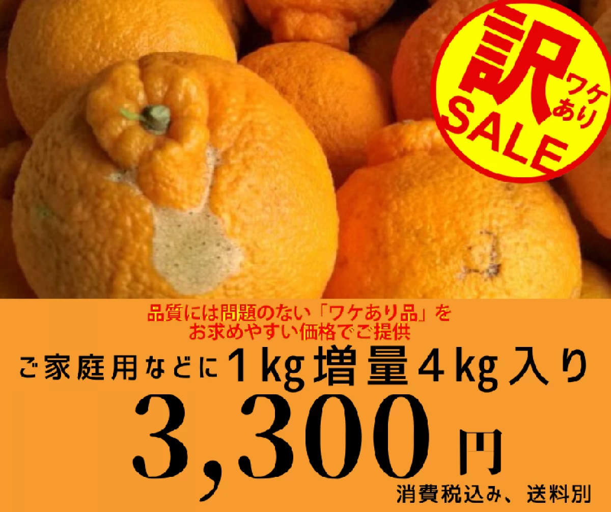 不知火(デコポン)1kg増量お買い得品!一箱4kg入り