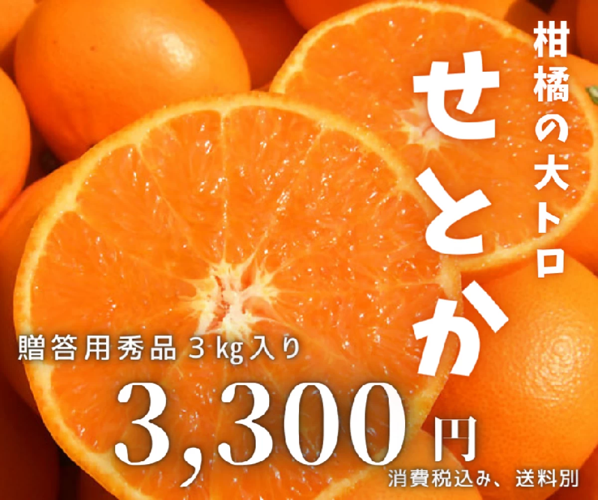 ハウスせとか一箱3kg入り・10玉から14玉程度